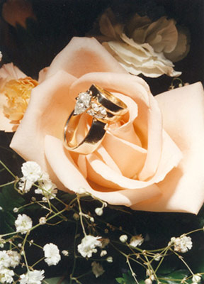 Dulcimer Wedding Rose